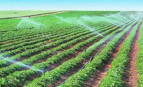 几八网农田高 效节水灌溉